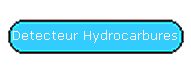 Detecteur Hydrocarbures